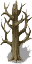 arbre2.png