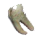 dentdorc.png