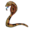 Biblio Lezard_jaune_vert
